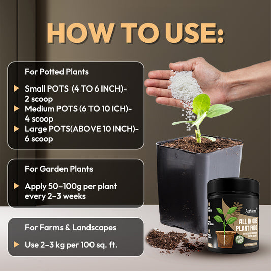 All-In-One Plant Food