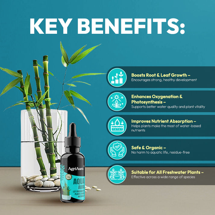 AquaAura – Aquatic Plant Growth Booster (Pack Of 3)