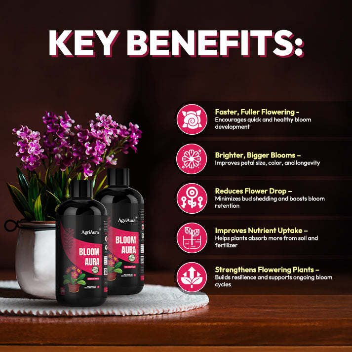 Bloomaura (Concentrate) – Organic Flower Booster