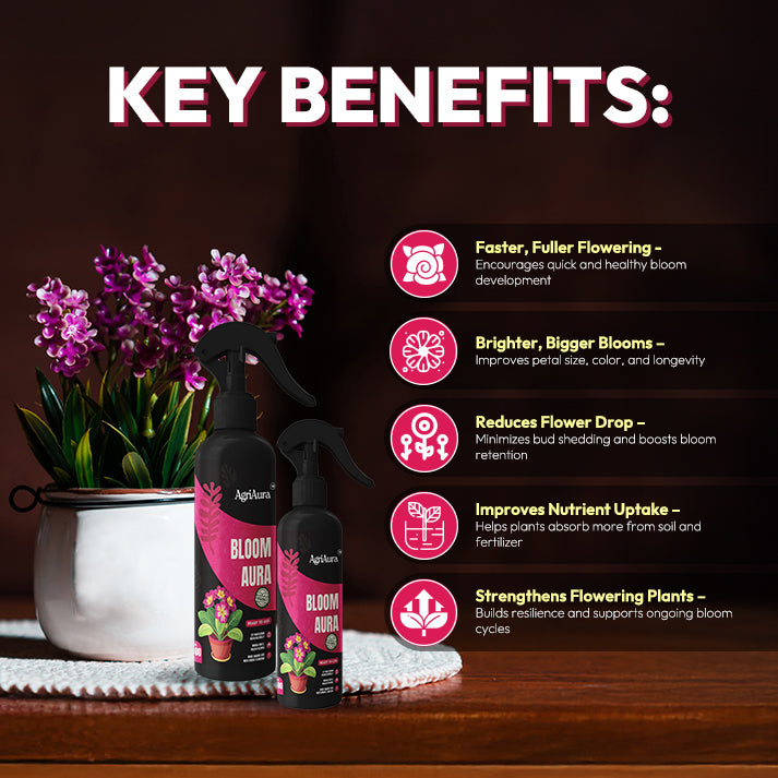Bloomaura (Ready To Use) – Organic Flower Booster