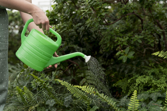 Liquid Fertilizers – Instant Nutrition for Thriving Plants